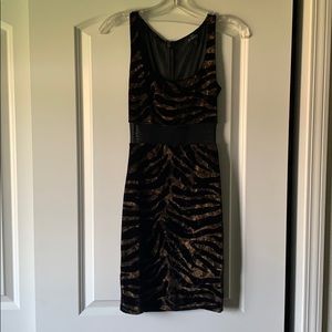 Tiger print velvet dress
